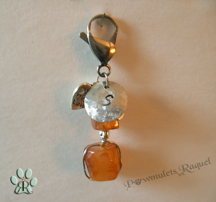images/carnelian pet charm w initial name tag.jpg